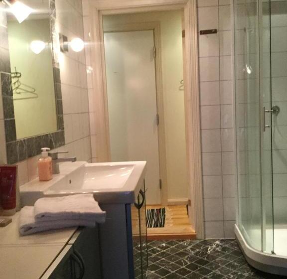 Апартаменты 1 Спальня, Holsthuset Losji