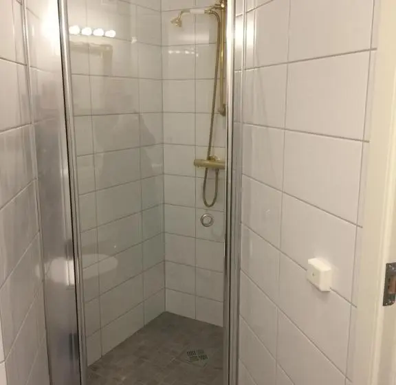 Şehir Manzaralı Delüks Oda, Holsthuset Losji