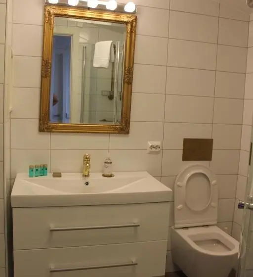 Şehir Manzaralı Lüks Oda, Holsthuset Losji