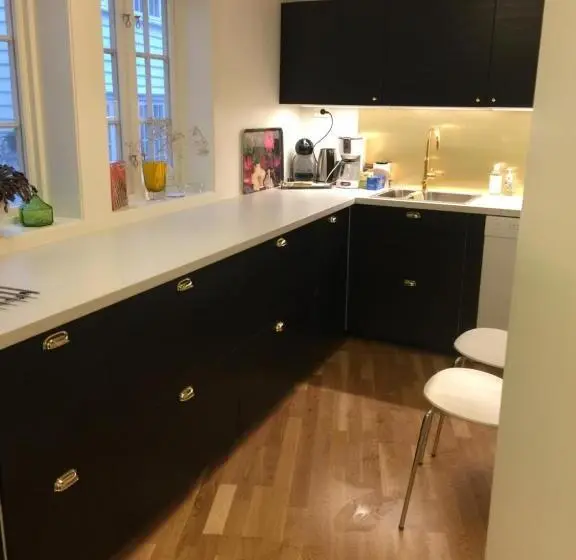 Şehir Manzaralı Lüks Oda, Holsthuset Losji