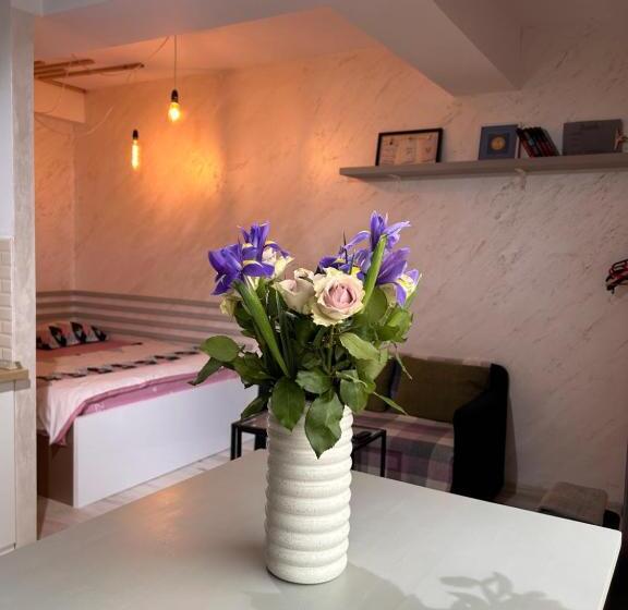 استودیو خانوادگی, Teodoroiu Nr. 5