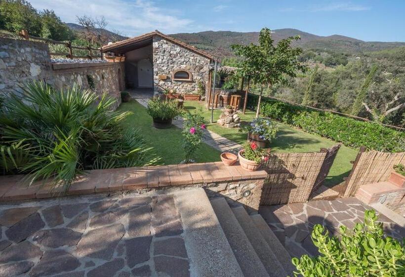 סוויטה, Il Castagno Toscana