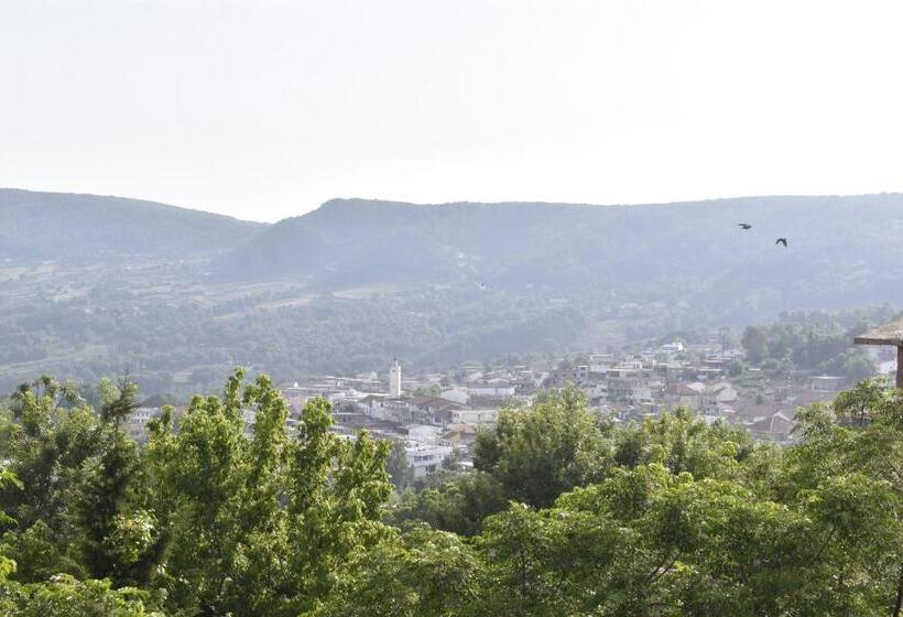 スタンダードスタジオ, Résidence Panorama