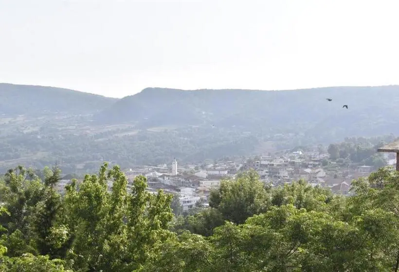 استودیوی استاندارد, Résidence Panorama