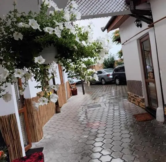スタンダードルーム, Amaraz Center