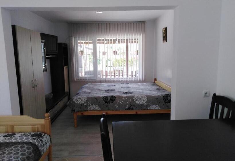 סטודיו דלוקס, Guesthause Pri Vasko