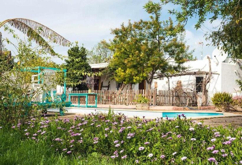 Полулюкс, Agroturismo Casa Morna Ibiza