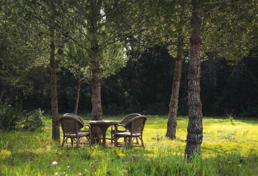 Люкс, Agroturismo Casa Morna Ibiza