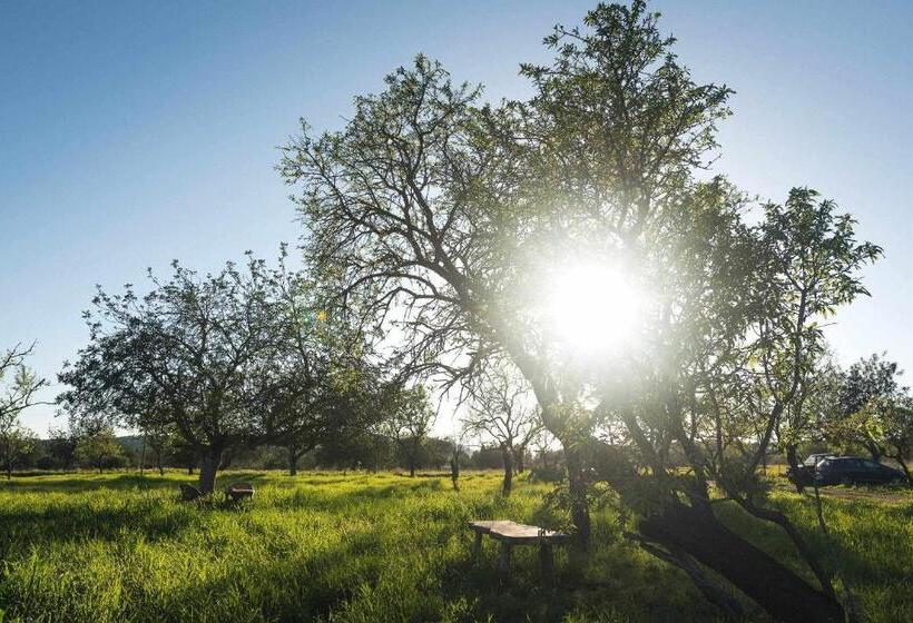 Family Suite, Agroturismo Casa Morna Ibiza