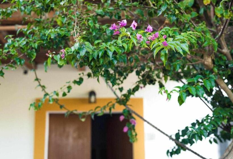 Family Suite, Agroturismo Casa Morna Ibiza