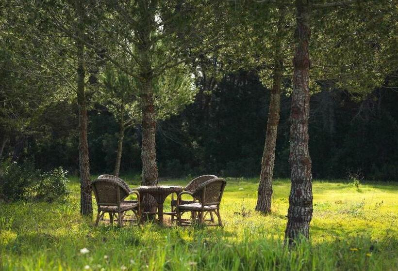 Family Suite, Agroturismo Casa Morna Ibiza