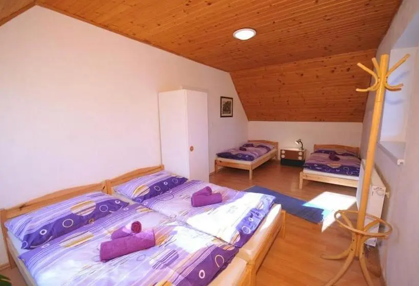 Standard Neljän Hengen Huone, Penzión Belvia