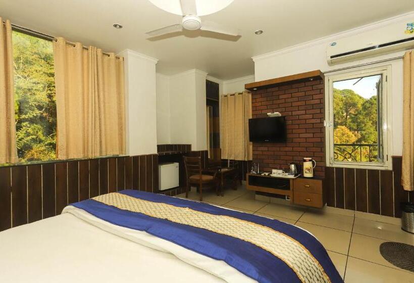 غرفة قياسية مطلة على الجبل, Pong View