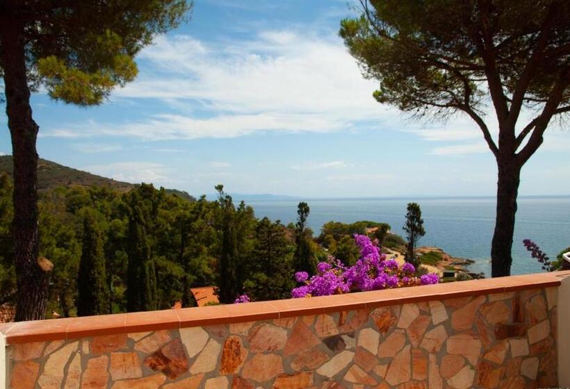 شقة ديلوكس غرفة نوم واحدة, Resort Capo Bianco