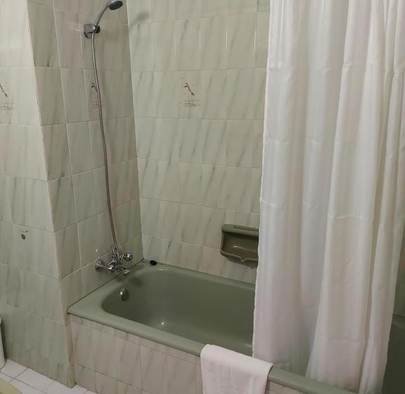 إستوديو قياسى, Seagull Hotel Apartments