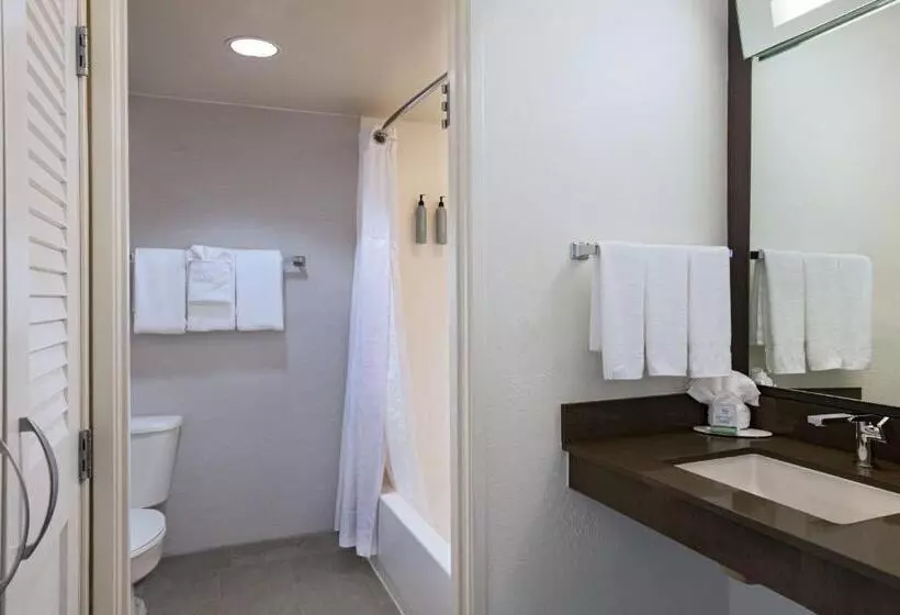 ２ダブルベッドのスタンダードルーム, Courtyard By Marriott Austin The Domain Area