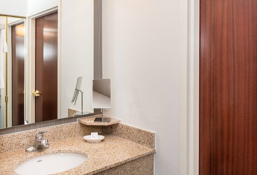 带2个双人床的标准工作室, Country Inn & Suites By Radisson, Columbus Edinburgh