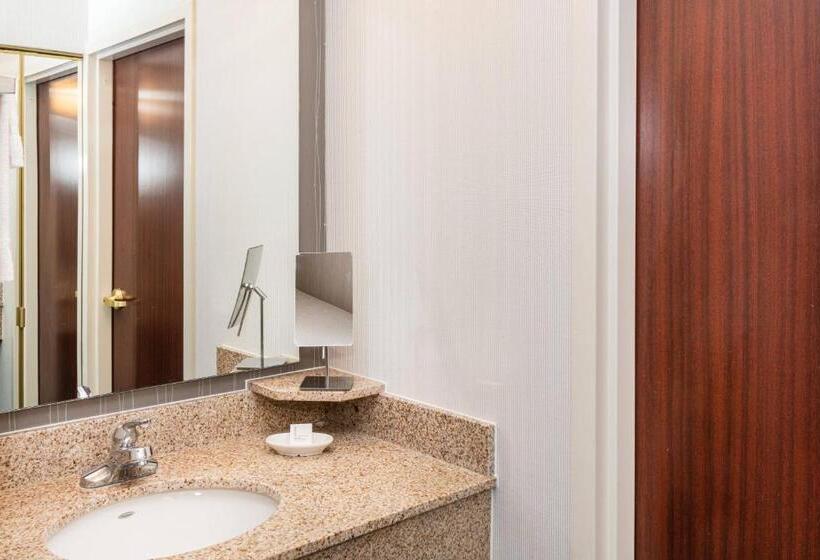 带大床的标准间, Country Inn & Suites By Radisson, Columbus Edinburgh