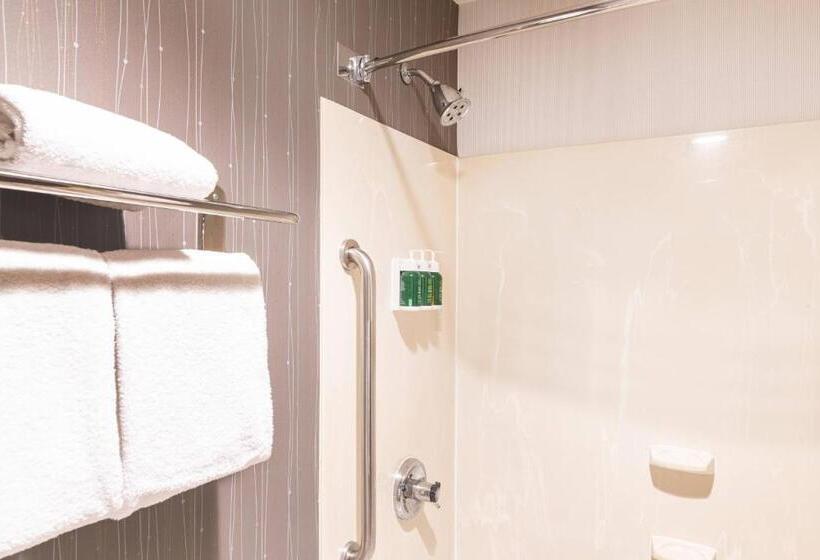 带大床的标准间, Country Inn & Suites By Radisson, Columbus Edinburgh