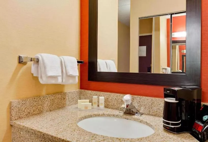 اتاق استاندارد با تخت بزرگ, Courtyard Chicago Midway Airport