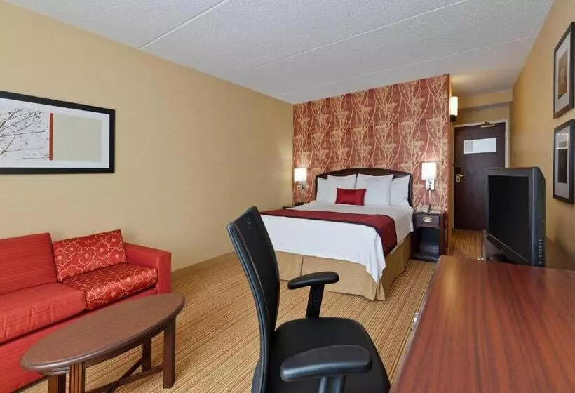 اتاق استاندارد با تخت بزرگ, Courtyard Chicago Midway Airport