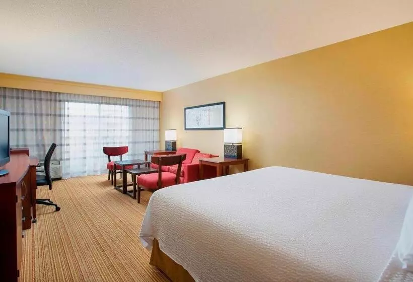 اتاق استاندارد با تخت بزرگ, Courtyard Chicago Midway Airport