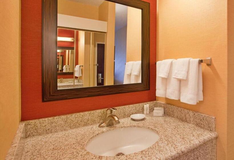 اتاق استاندارد با تخت بزرگ, Courtyard Chicago Southeast/hammond, Indiana