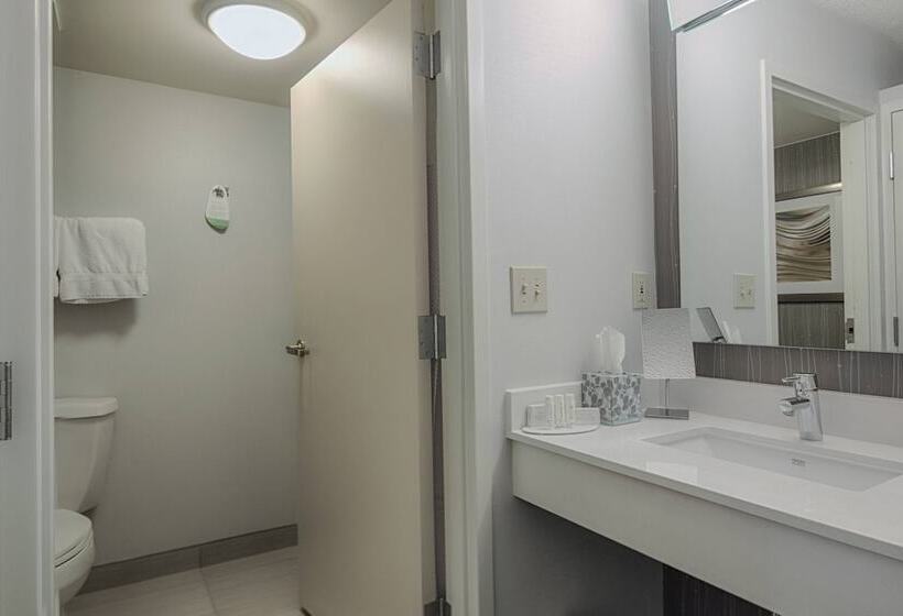 Quarto Estandar 2 Camas Casal, Courtyard By Marriott Dallas Dfw Airport North/irving