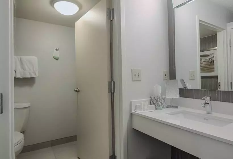 اتاق استاندارد با 2 تخت دوبل, Courtyard By Marriott Dallas Dfw Airport North/irving