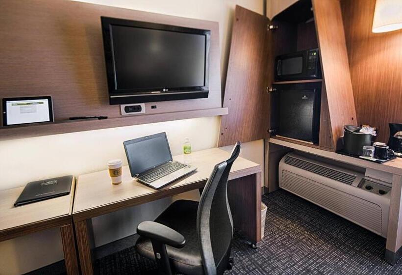 스탠다드 룸 더블 침대 2개, Courtyard By Marriott Dallas Dfw Airport North/irving