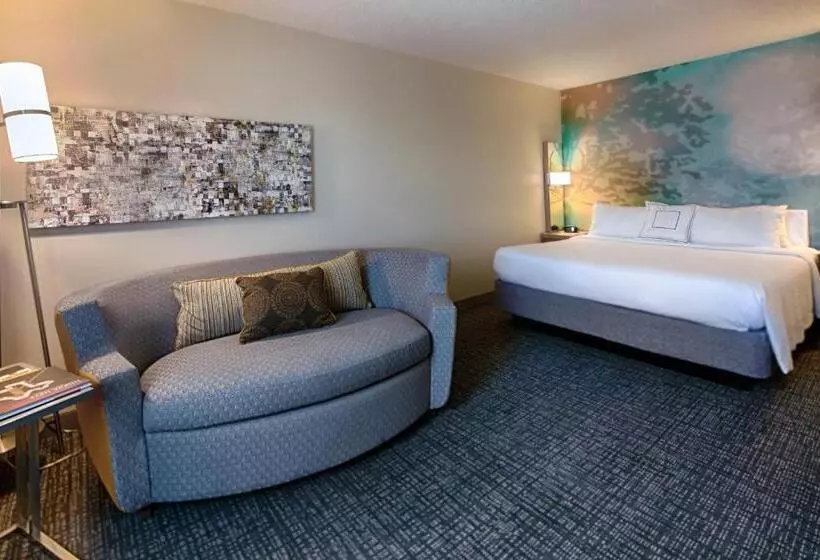 اتاق استاندارد با تخت بزرگ, Courtyard By Marriott Dallas Dfw Airport North/irving