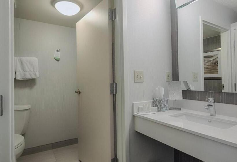 Quarto Estandar Cama King para Deficientes Físicos, Courtyard By Marriott Dallas Dfw Airport North/irving