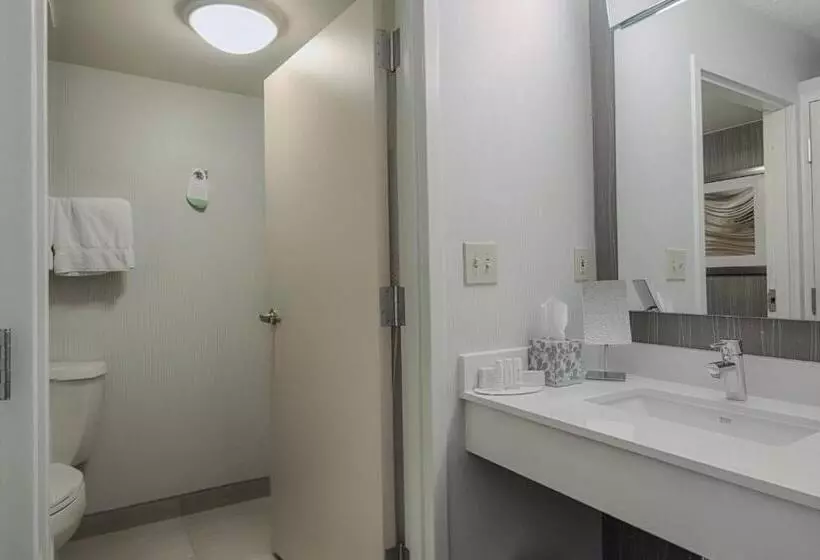اتاق استاندارد با تخت بزرگ برای معلولان, Courtyard By Marriott Dallas Dfw Airport North/irving