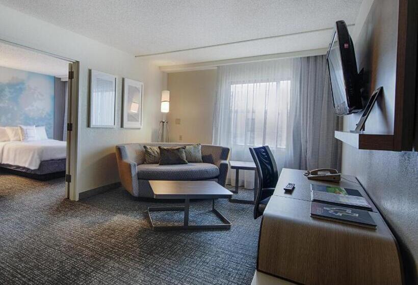 스위트 킹사이즈 침대, Courtyard By Marriott Dallas Dfw Airport North/irving