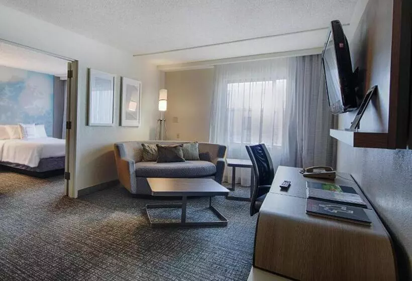 سوئیت با تخت بزرگ, Courtyard By Marriott Dallas Dfw Airport North/irving
