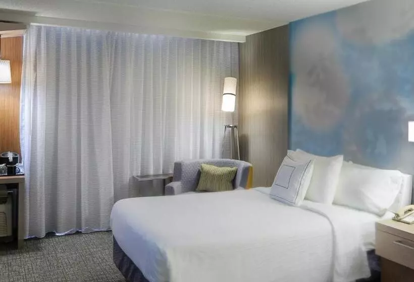 سوئیت با تخت بزرگ, Courtyard By Marriott Dallas Dfw Airport North/irving