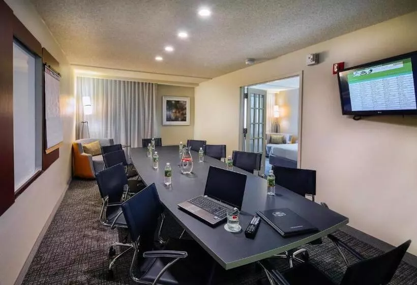 سوئیت اجرایی با تخت کینگ, Courtyard By Marriott Dallas Dfw Airport North/irving