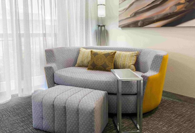 キングサイズベッドのスタンダードルーム, Courtyard Knoxville Cedar Bluff