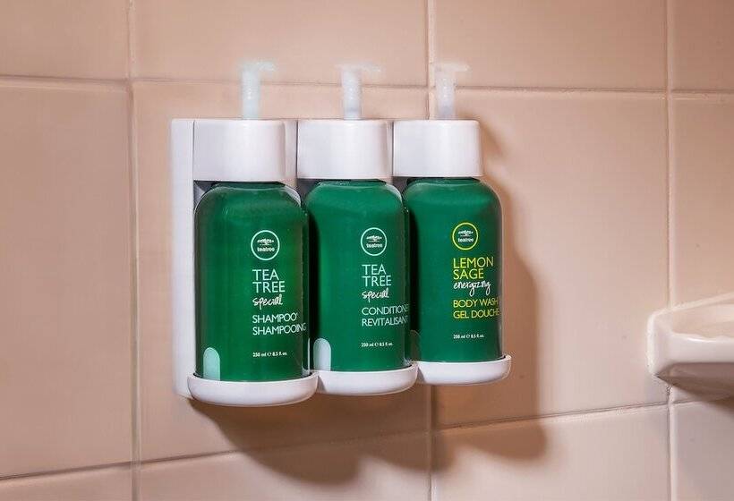 اتاق استاندارد با 2 تخت دوبل, Courtyard By Marriott Nashville Downtown