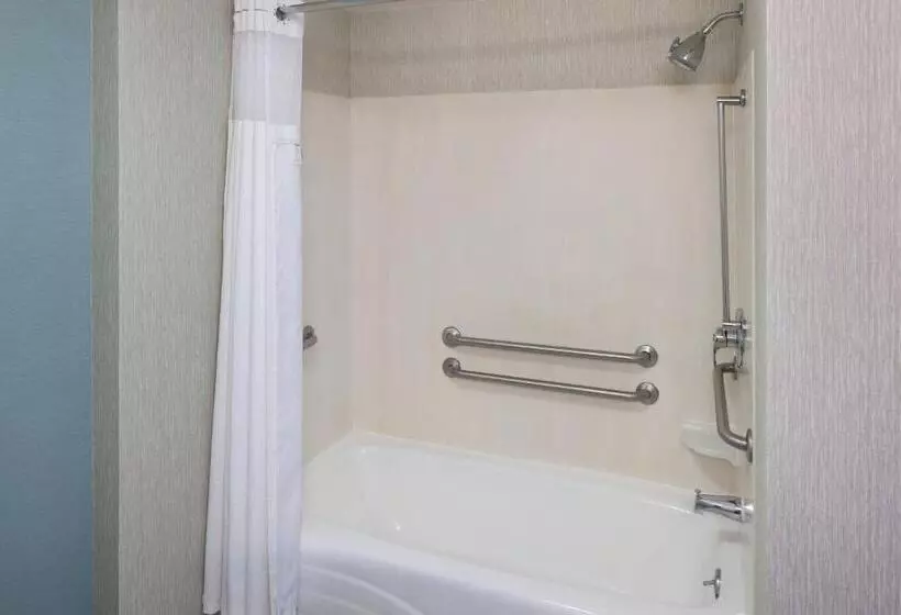 اتاق استاندارد با 2 تخت دوبل, Courtyard Virginia Beach Oceanfront/south