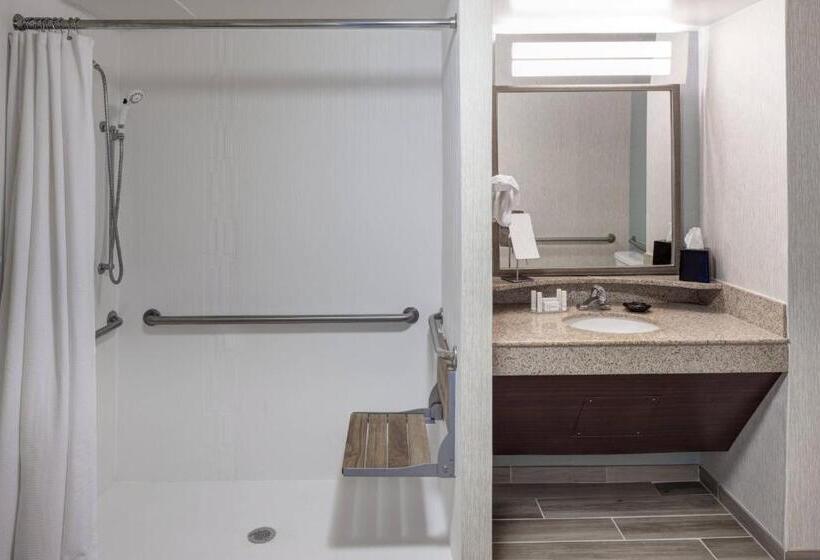 스위트 킹사이즈 침대, Courtyard Virginia Beach Oceanfront/south