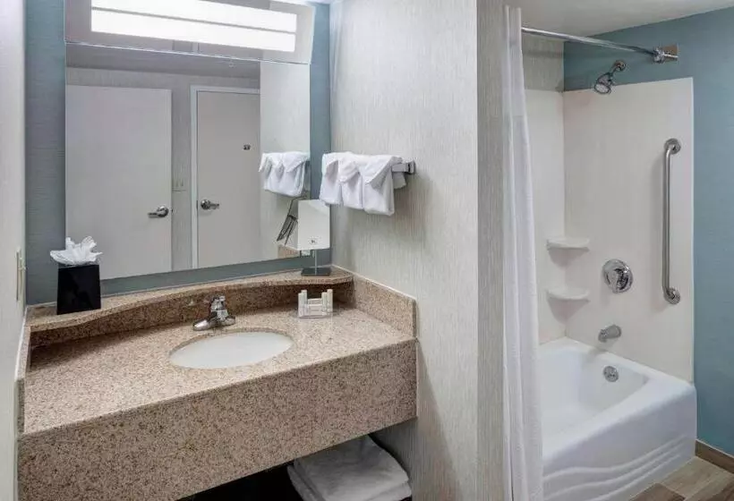 سوئیت با تخت بزرگ, Courtyard Virginia Beach Oceanfront/south