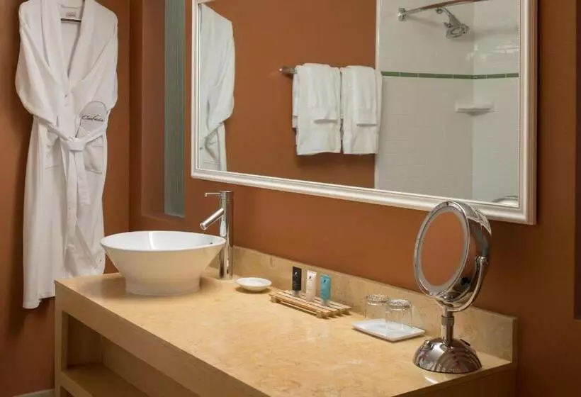 اتاق استاندارد با تخت بزرگ, Crowne Plaza Cabana Hotel, An Ihg