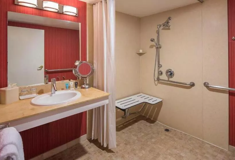 اتاق استاندارد با تخت بزرگ برای معلولان, Crowne Plaza Cabana Hotel, An Ihg