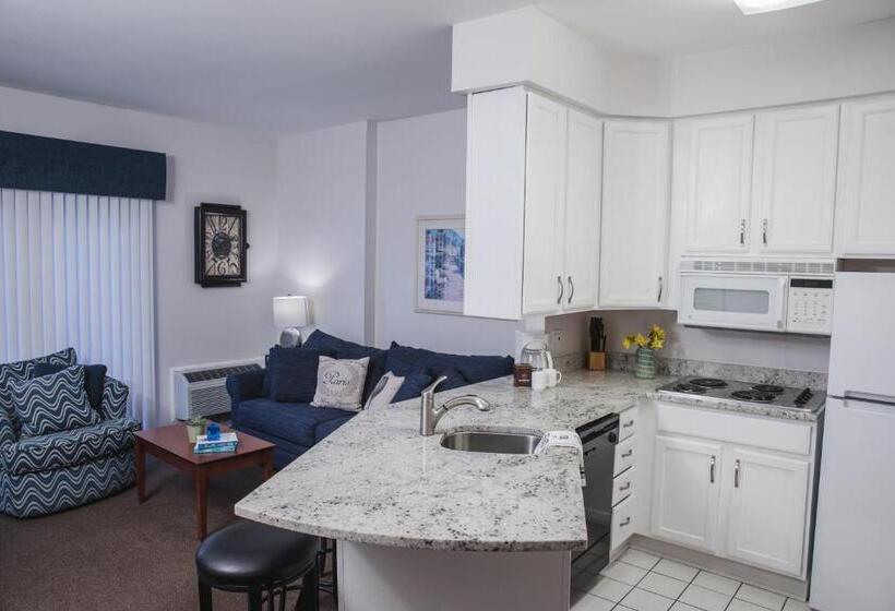 Студия Стандарт, The Cove Of Lake Geneva