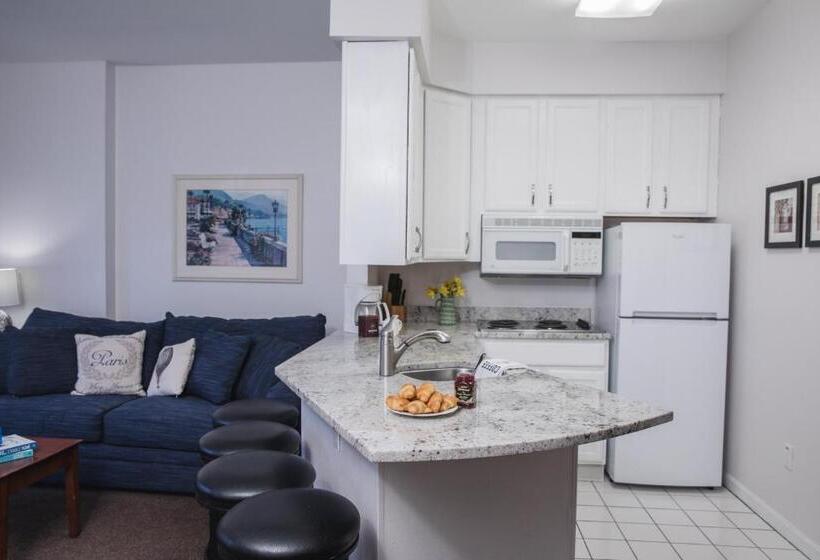 Студия Стандарт, The Cove Of Lake Geneva