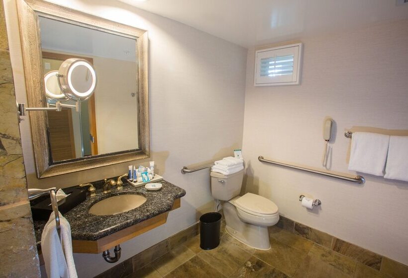 سوئیت جونیور برای معلولان, The Dana On Mission Bay