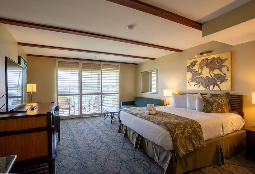 سوئیت جونیور برای معلولان, The Dana On Mission Bay