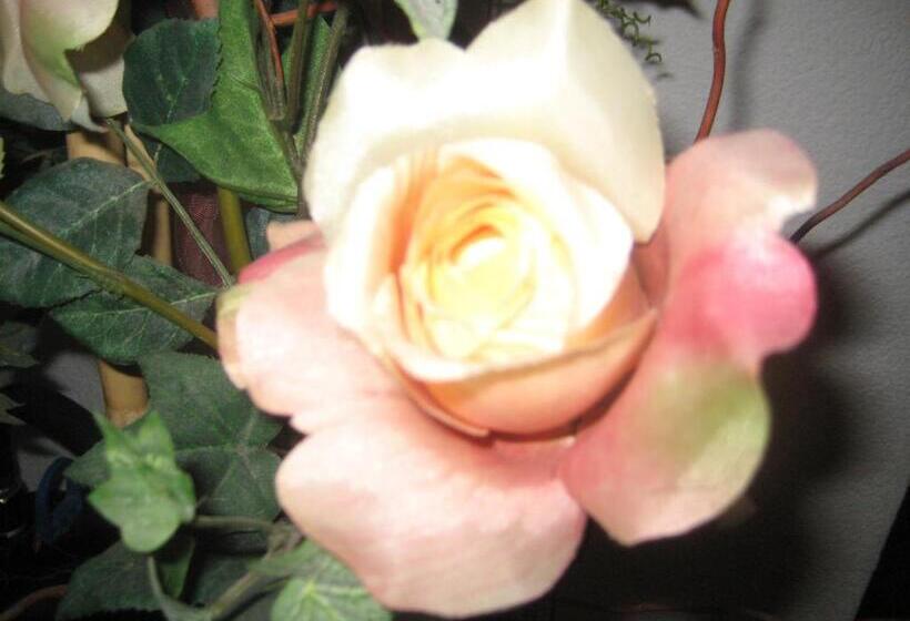 スタンダードルーム, Gampeler Hof