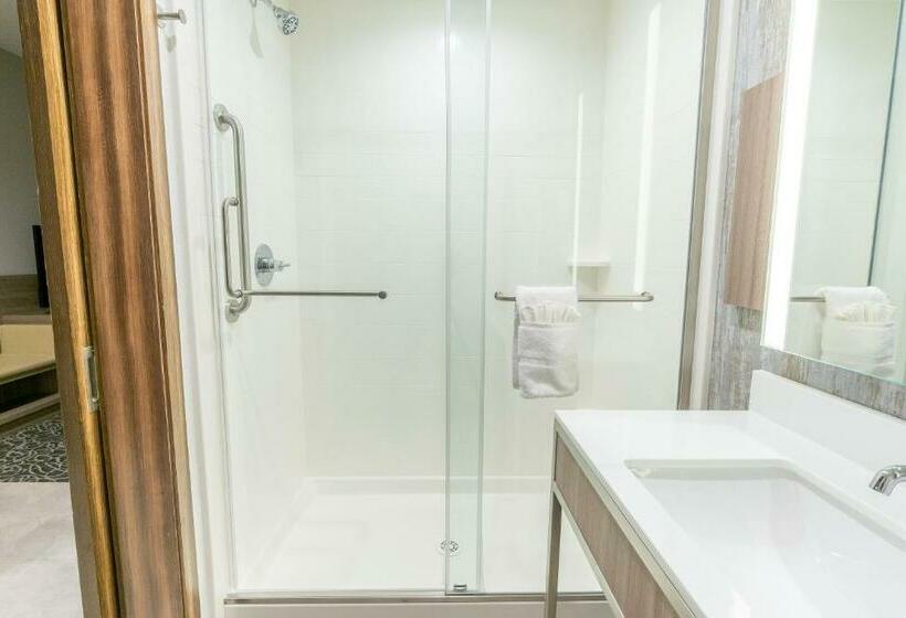 Номер Стандарт Кровать Кинг Адаптированный для Инвалидов, Hilton Garden Inn Wichita Downtown